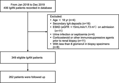 Urinary Soluble CD163 Levels Predict <mark class="highlighted">IgA Nephropathy</mark> Remission Status